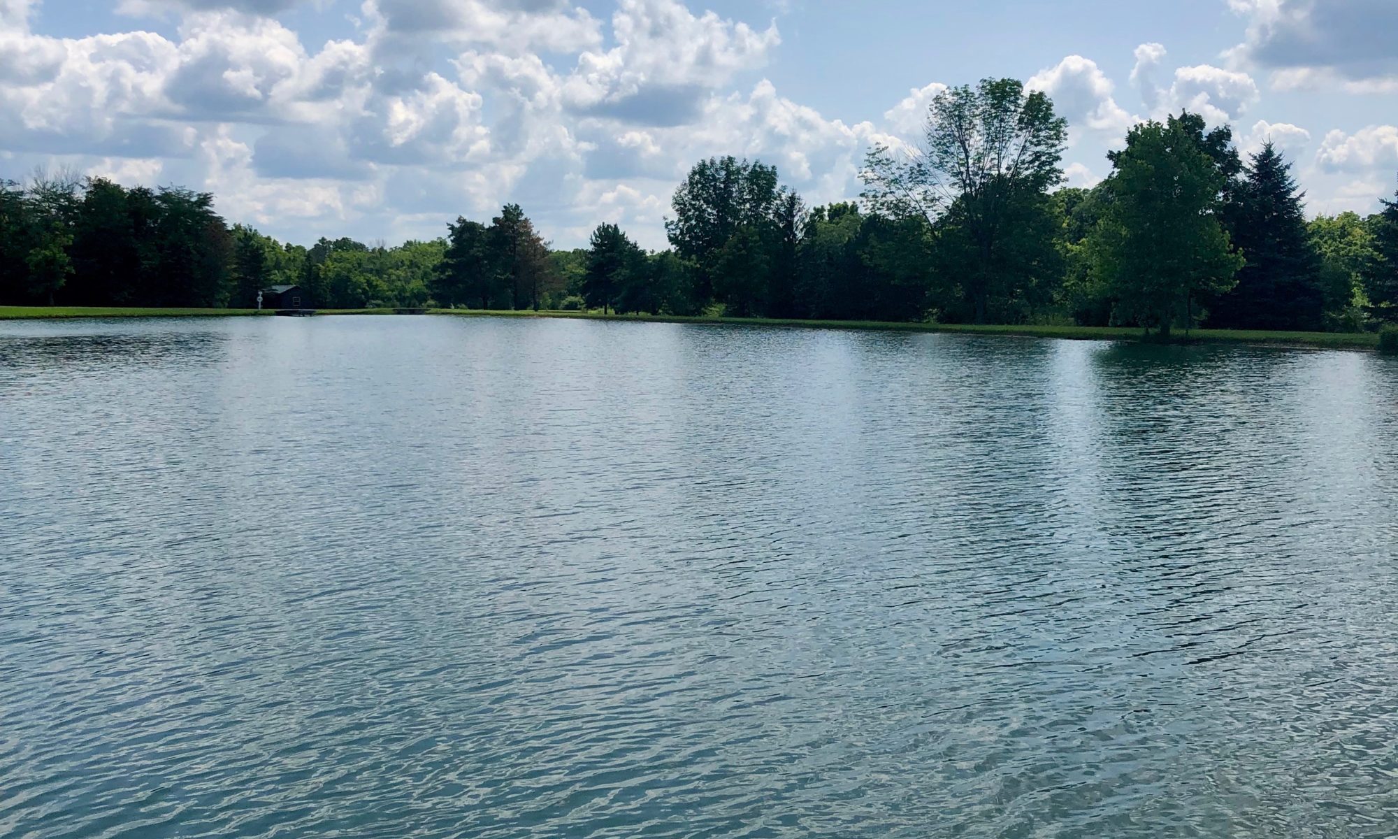 Photo of a peaceful pond on a partly cloudy, peaceful day